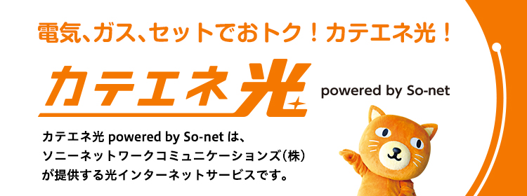 カテエネ光 powered by So-net