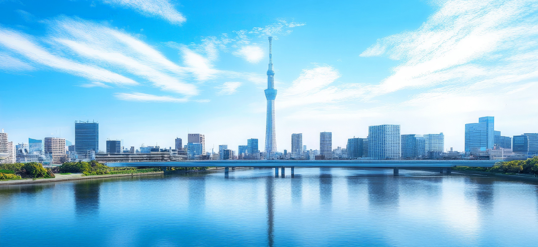 東京スカイツリーの写真