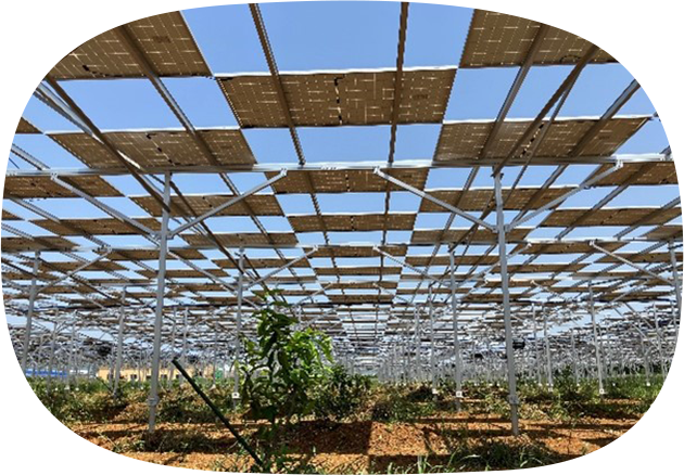 ローム浜松株式会社さま