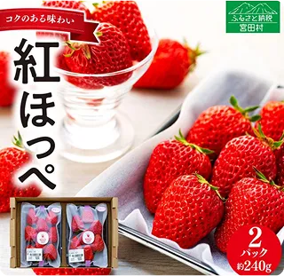 返礼品イメージ