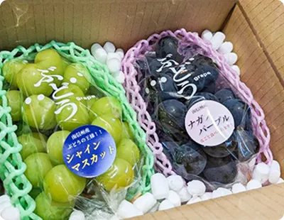 返礼品イメージ