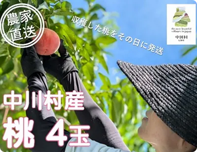 返礼品イメージ