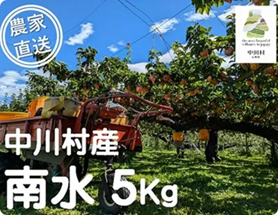 返礼品イメージ