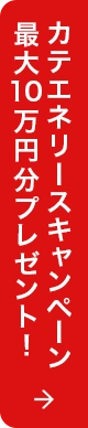 カテエネリースキャンペーン開催中