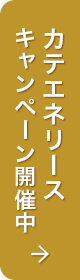 カテエネリース太陽光発電・蓄電池キャンペーン！