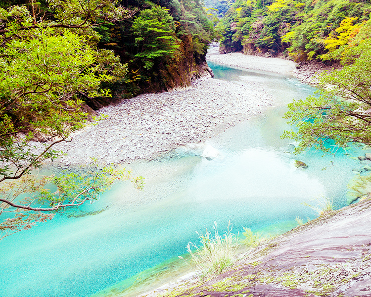 三重県内の美しい水資源