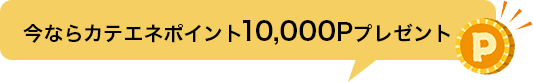 今ならカテエネポイント10,000Pプレゼント