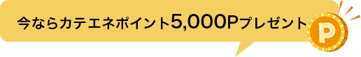 今ならカテエネポイント5,000Pプレゼント