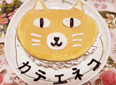 【カテエネコのイチゴケーキ】志村 綾香 さま