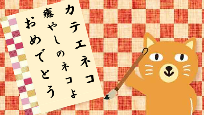 【カテエネコ川柳作品集】しろまんごーさま