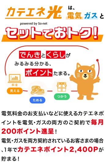 カテエネ光 powered by So-netは電気 ガスとセットでおトク！電気料金のお支払いなどに使えるカテエネポイントを電気・ガスの両方のご契約で毎月200ポイント贈呈！電気・ガスを両方契約されているお客さまの場合、1年でカテエネポイント2,400Pが貯まる！