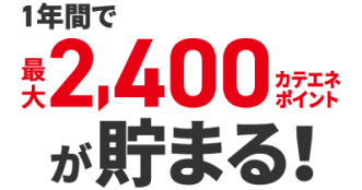 1年間で最大2,400カテエネポイントが貯まる！